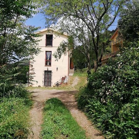 La Peonia Casa Vacanze In Montagna Prato Verde Panorama Stupendo Sardegna Seùlo Exterior foto