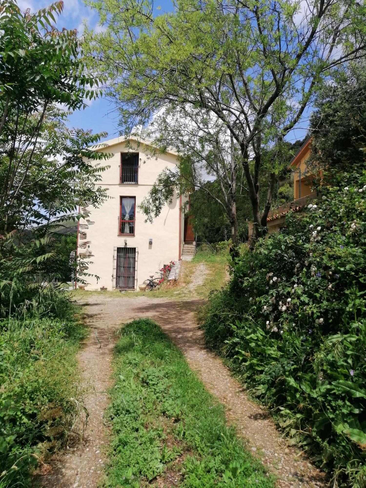 La Peonia Casa Vacanze In Montagna Prato Verde Panorama Stupendo Sardegna Seùlo Exterior foto