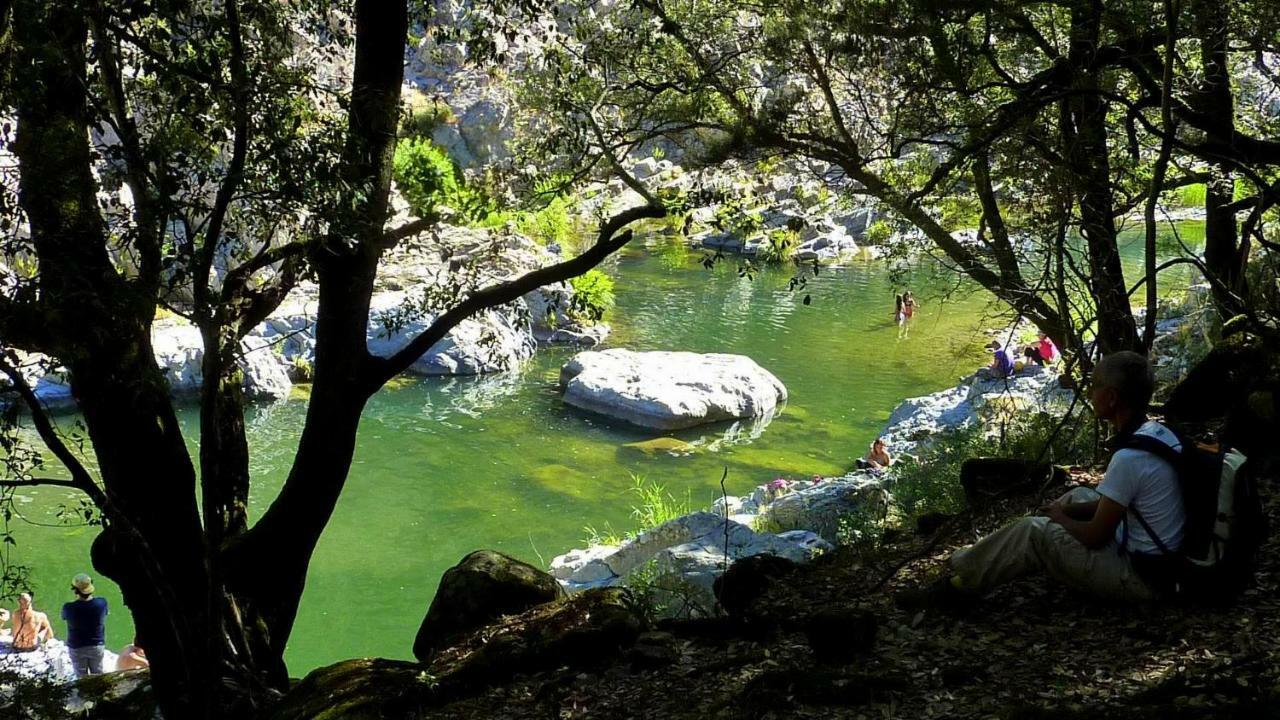 La Peonia Casa Vacanze In Montagna Prato Verde Panorama Stupendo Sardegna Seùlo Exterior foto