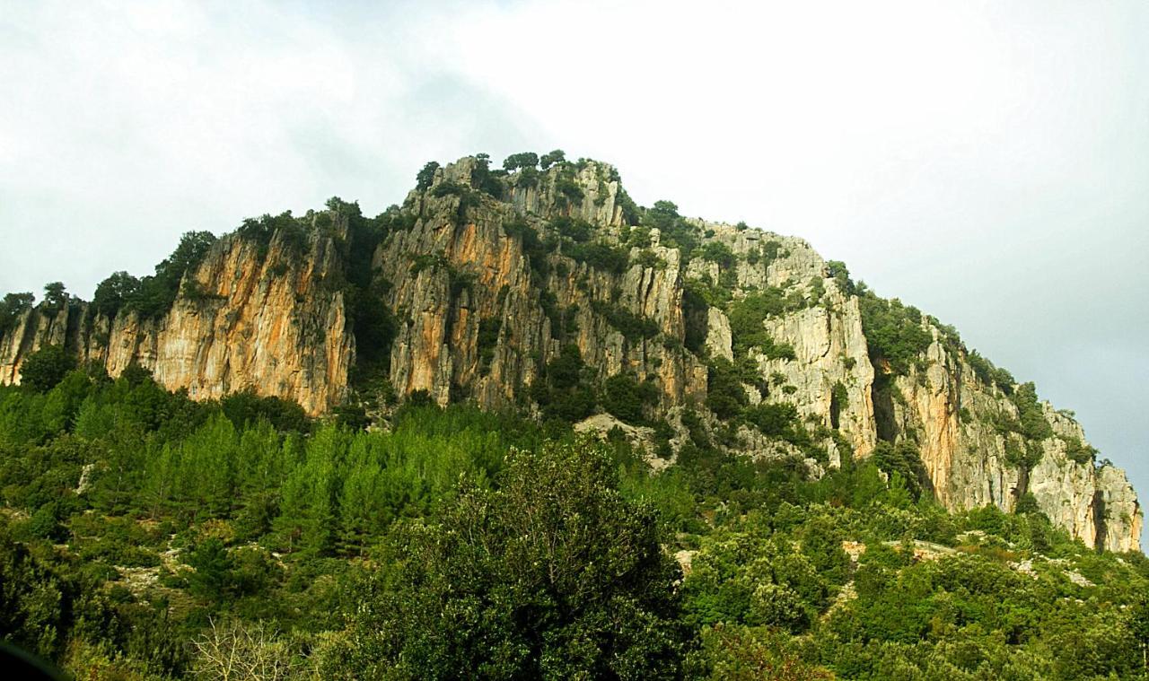 La Peonia Casa Vacanze In Montagna Prato Verde Panorama Stupendo Sardegna Seùlo Exterior foto